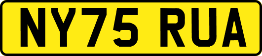 NY75RUA