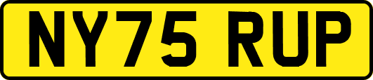 NY75RUP