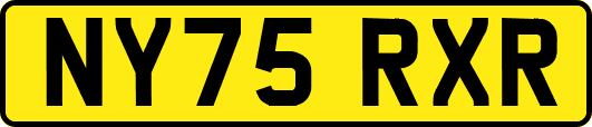 NY75RXR