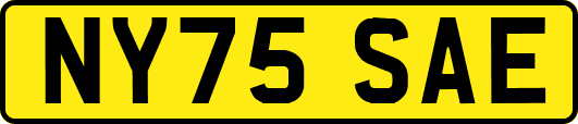 NY75SAE