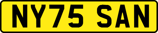 NY75SAN