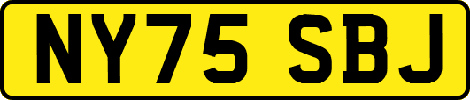 NY75SBJ