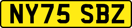 NY75SBZ