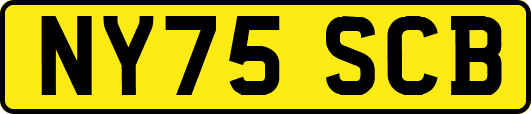 NY75SCB