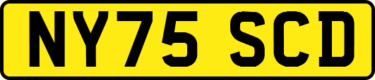 NY75SCD