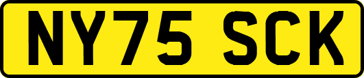 NY75SCK