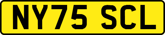 NY75SCL