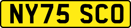 NY75SCO