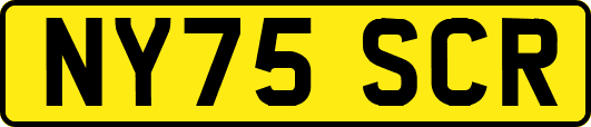 NY75SCR