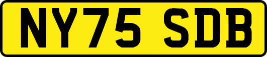 NY75SDB