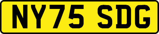 NY75SDG