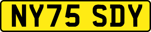 NY75SDY