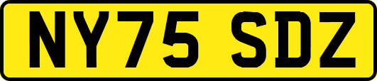 NY75SDZ