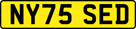 NY75SED