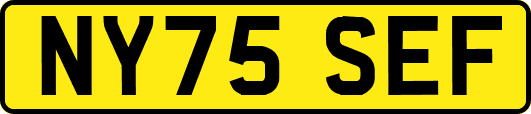 NY75SEF