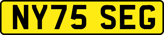 NY75SEG