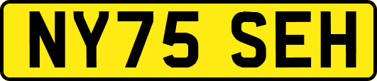 NY75SEH