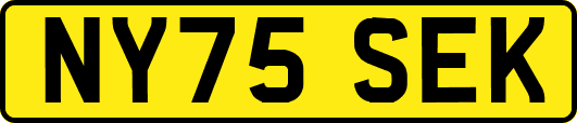 NY75SEK