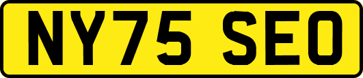 NY75SEO