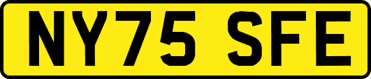 NY75SFE