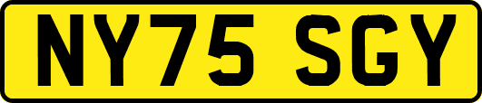 NY75SGY