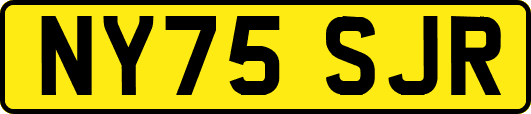 NY75SJR