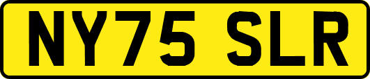 NY75SLR
