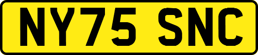 NY75SNC