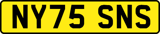 NY75SNS