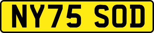 NY75SOD