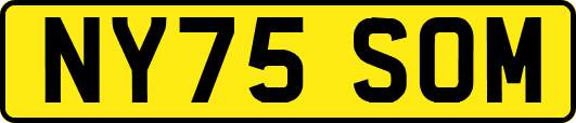NY75SOM