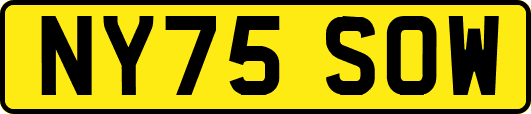 NY75SOW