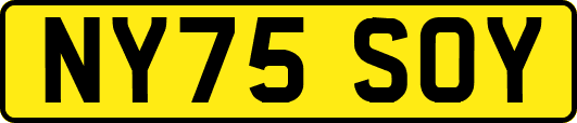NY75SOY