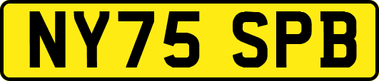 NY75SPB