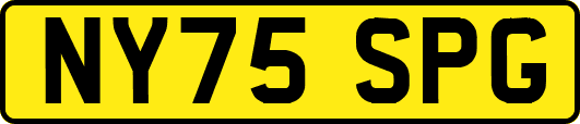NY75SPG