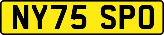 NY75SPO