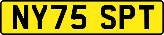 NY75SPT