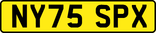 NY75SPX