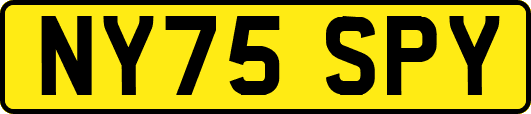 NY75SPY