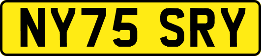 NY75SRY