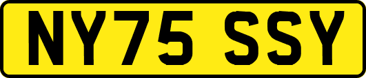 NY75SSY