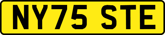 NY75STE