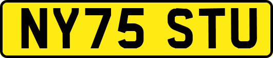 NY75STU