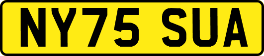 NY75SUA