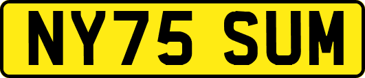 NY75SUM