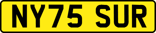 NY75SUR