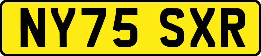 NY75SXR