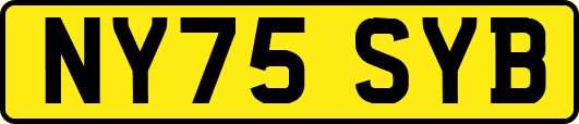 NY75SYB