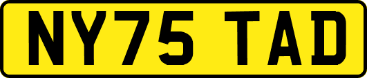 NY75TAD