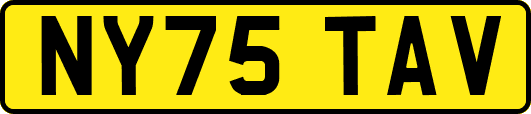 NY75TAV